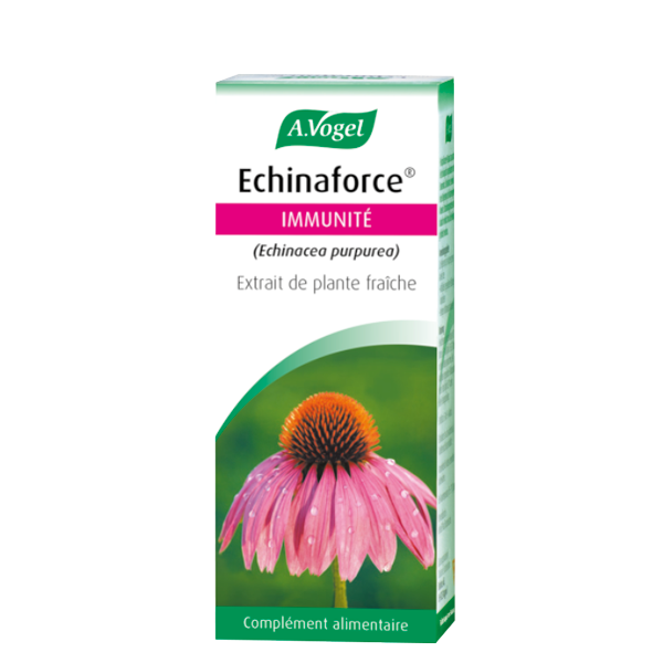 Echinaforce Immunite
